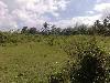 Vacant Lot for Sale in Majada, Calamba, Laguna